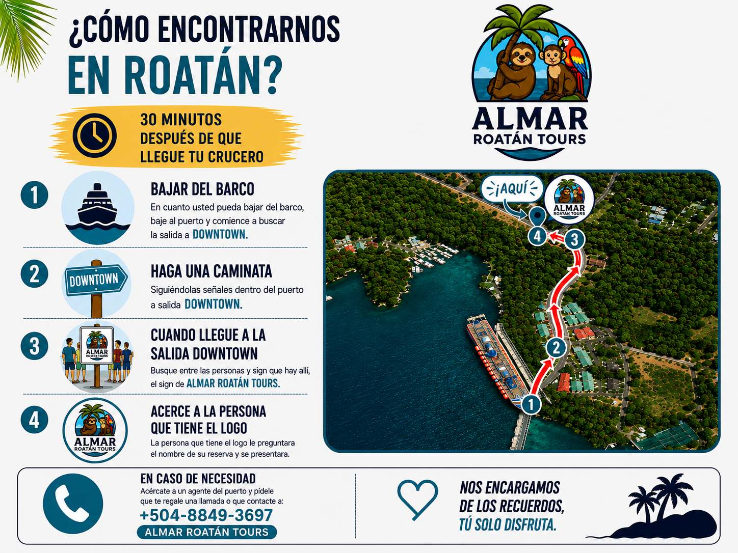 Mapa de encuentro en Isla Tropicale